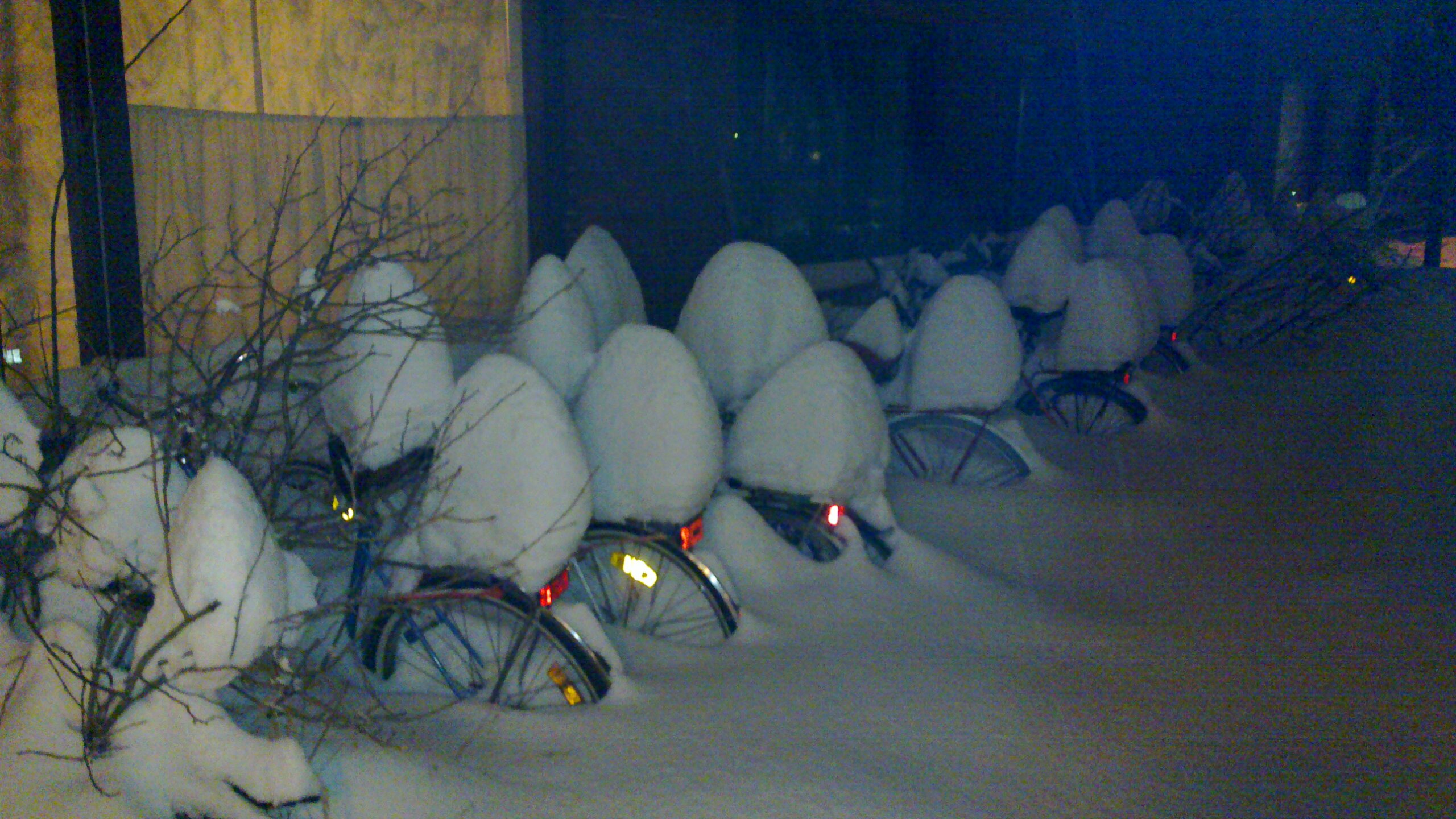 20101206_001