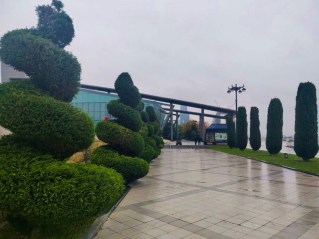 Şam bulevar en el parque Dənizkənarı Milli, Baku, Azerbaiyán Şam bulevar en el parque Dənizkənarı Milli, Baku, Azerbaiyán