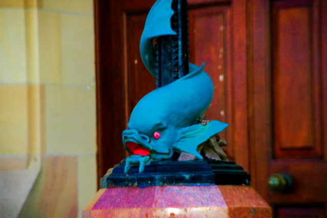 Pez vikingo
