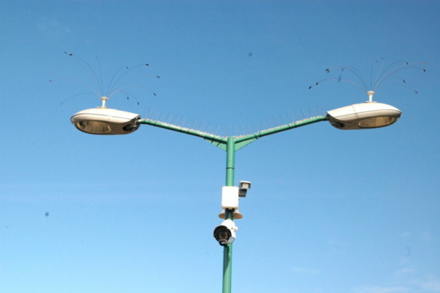 Camaras de seguridad a prueba de gaviotas