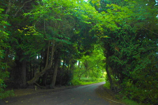 Llegando al Lago Ness