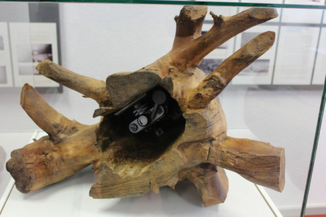 Camara y microfono escondido en el tronco de un arbol Camara y microfono escondido en el tronco de un arbol